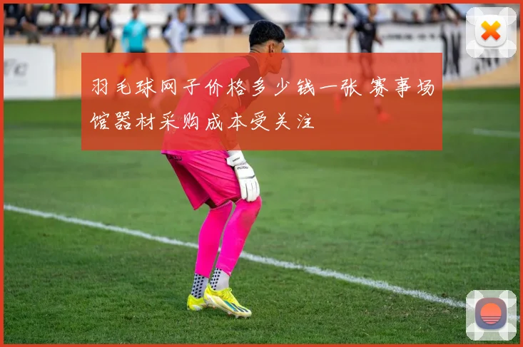 羽毛球网子价格多少钱一张 赛事场馆器材采购成本受关注