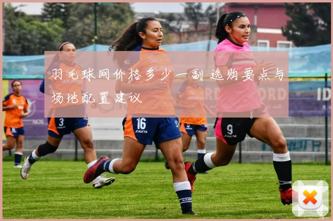 羽毛球网价格多少一副 选购要点与场地配置建议