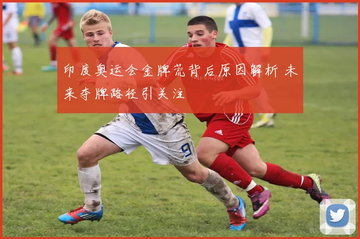 印度奥运会金牌荒背后原因解析 未来夺牌路径引关注