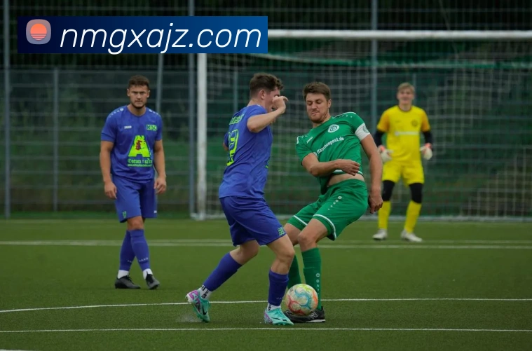 开云在线登录入口官网品牌故事