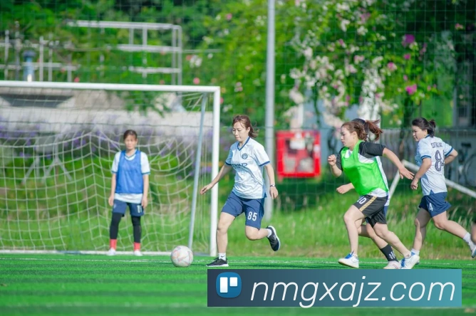 开云在线登录入口官网服务体系